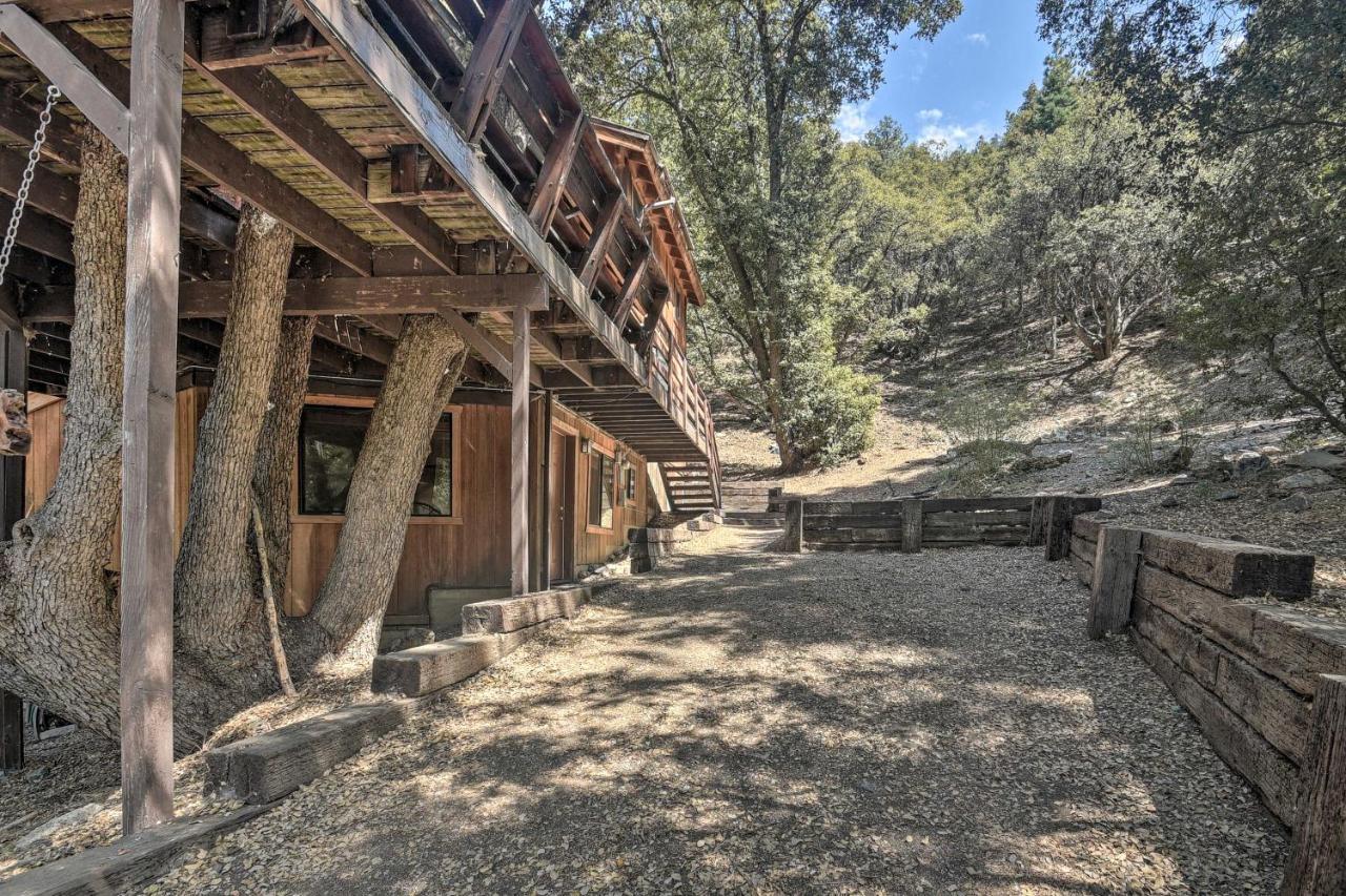 Updated Tree House Pine Mtn Club Cabin By Trails Pine Mountain Club Exterior photo
