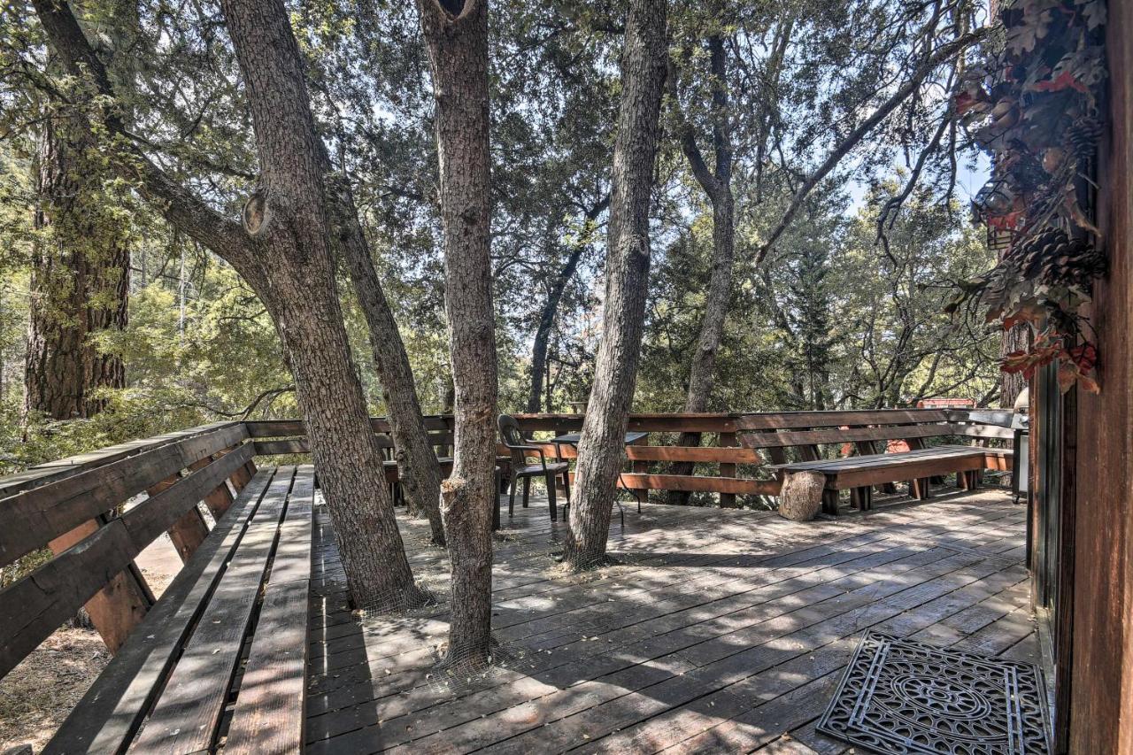 Updated Tree House Pine Mtn Club Cabin By Trails Pine Mountain Club Exterior photo